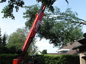 Specialistisch bomenwerk